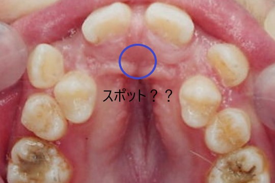 52画像1