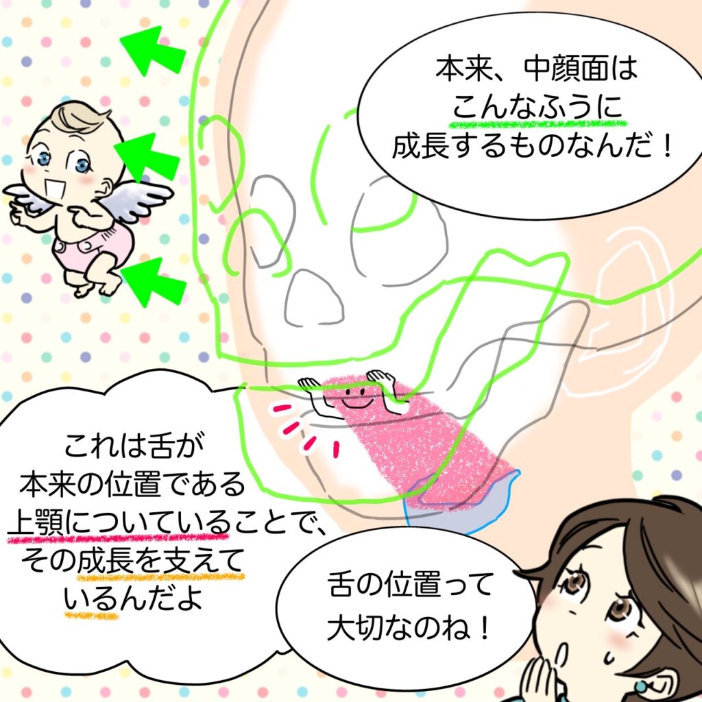 こどもと女性の歯科クリニック