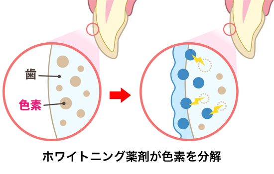 こどもと女性の歯科クリニック