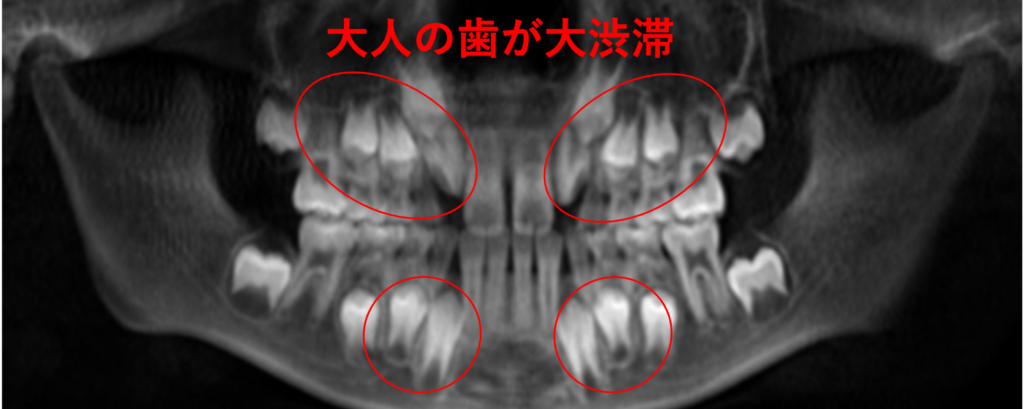 こどもと女性の歯科クリニック こどもと女性の歯科クリニック