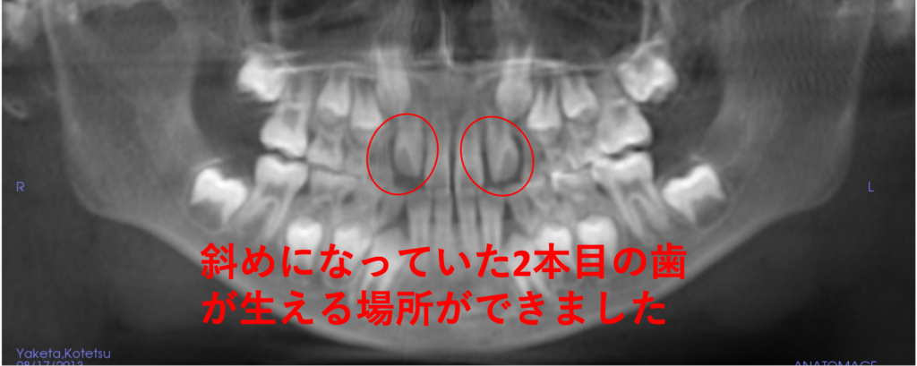 こどもと女性の歯科クリニック こどもと女性の歯科クリニック