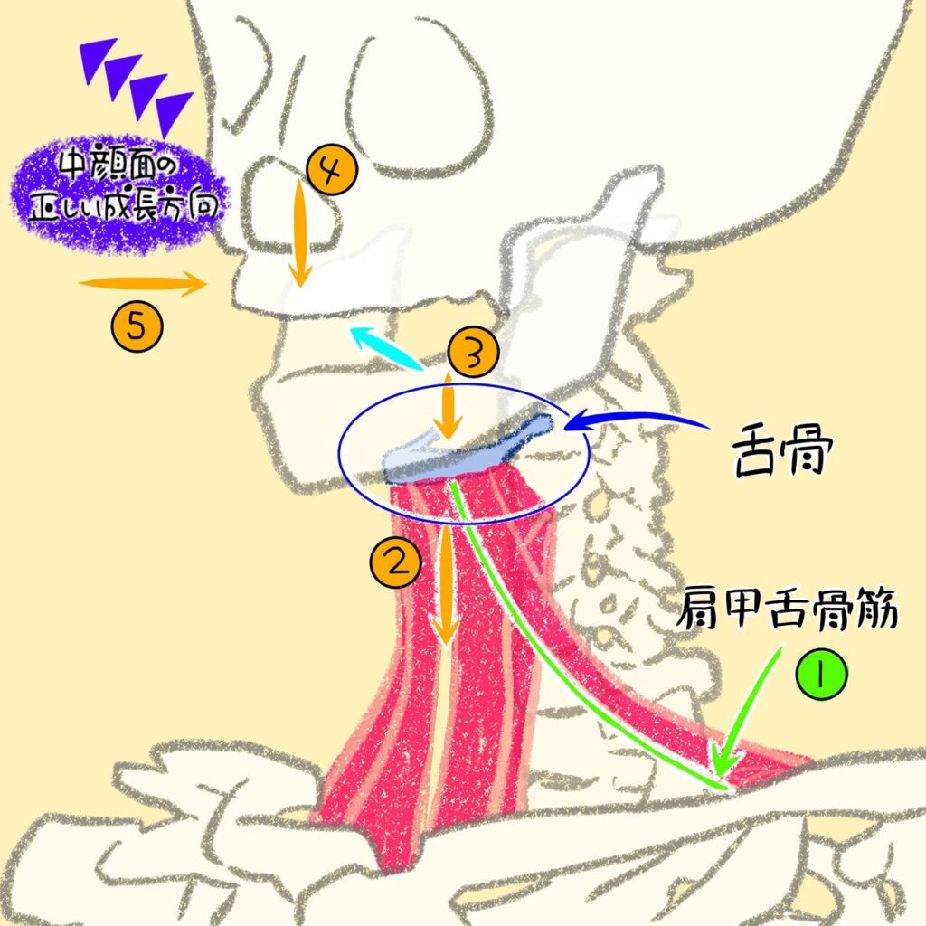 こどもと女性の歯科クリニック